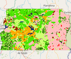 Mapa da Cobertura da Terra do Distrito Federal - 1992