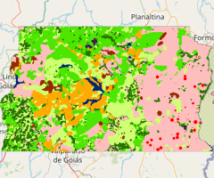 Mapa da Cobertura da Terra do Distrito Federal - 1991