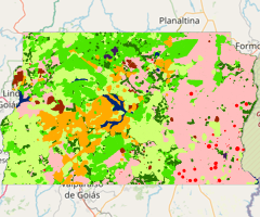Mapa da Cobertura da Terra do Distrito Federal - 1993